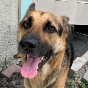 Meet your Posher, Joshua